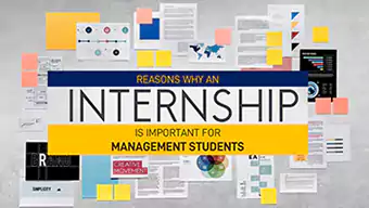 Reasons Why an Internship is Important for Management Students