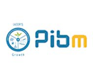 PIBM Blogpibm logo